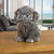 sterling silver Shih Tzu puppy model