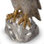 American Bald Eagle