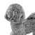 Silver Bichon Frise model