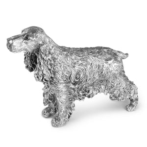 Silver Cocker Spaniel 