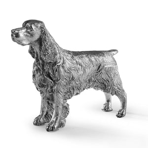 Silver Springer Spaniel 