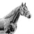 Silver Thoroughbred -Small  - Height 16cm