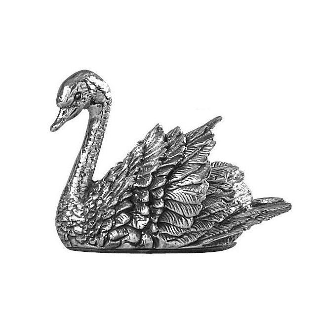 Silver Swan