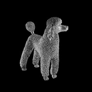 Silver Poodle model