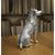  Jack Russell statue